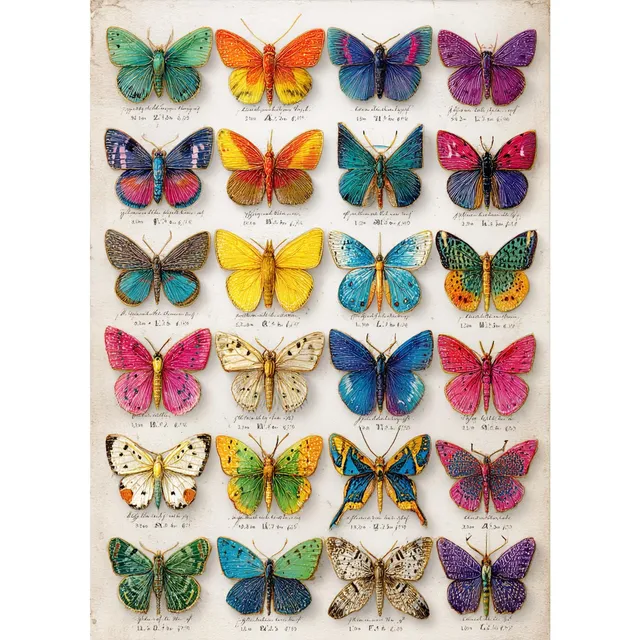 huadada-1000-teile-puzzle-schmetterlingsexemplar-70x50-cm-retro image 1