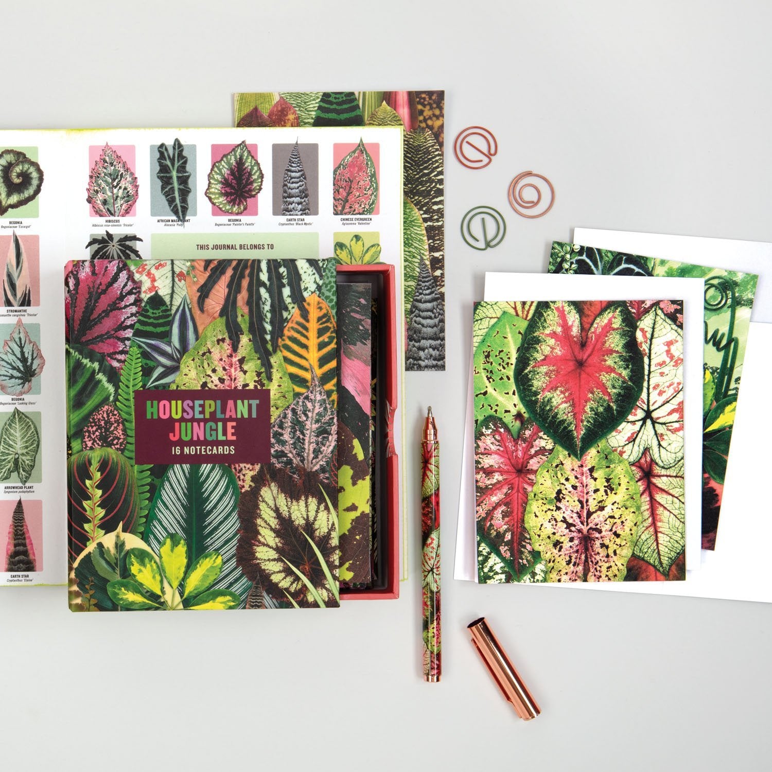 galison-houseplant-jungle-karten-set-16-troy-litten image 3