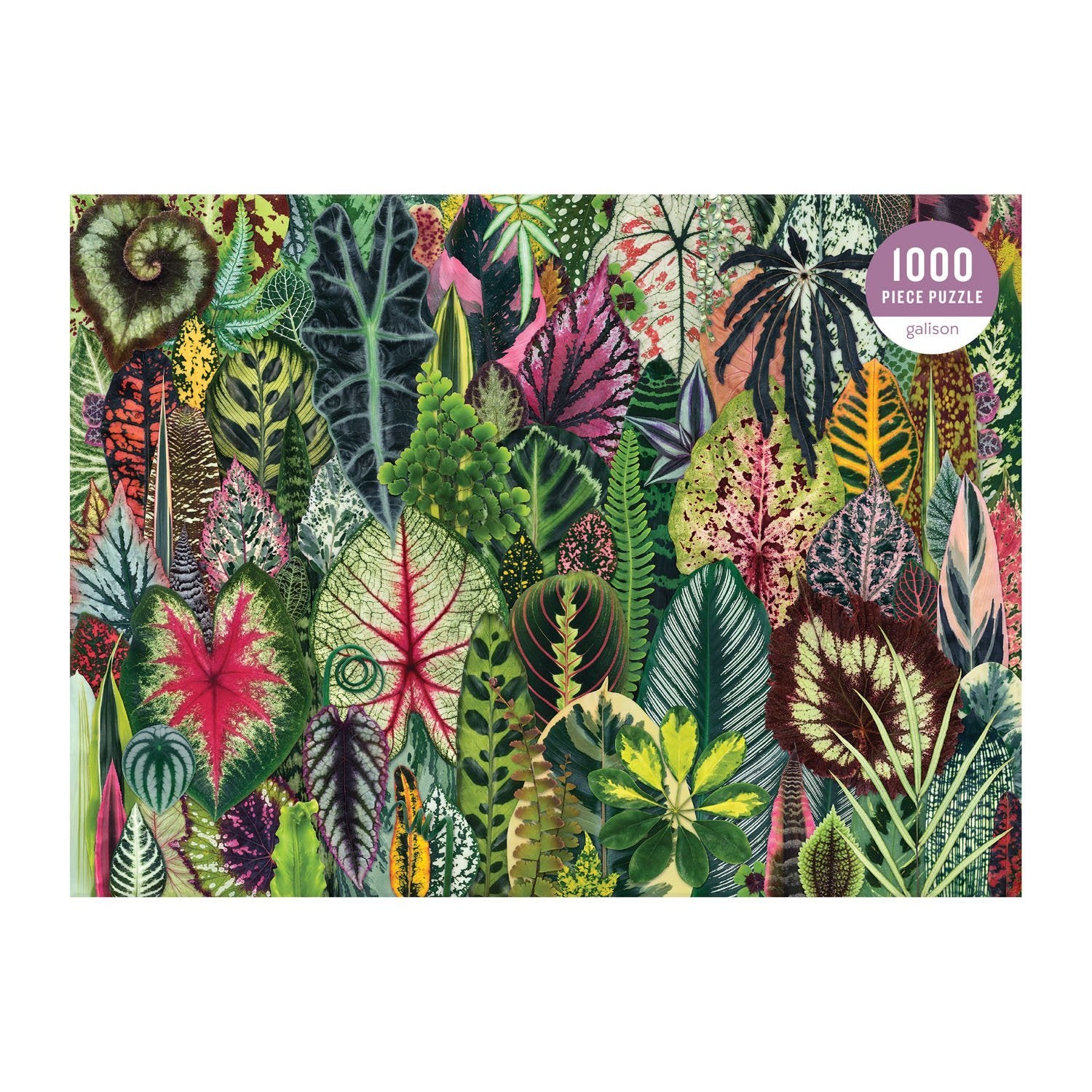 galison-troy-litten-houseplant-jungle-1000-teile-puzzle-zimmerpflanzen image 2