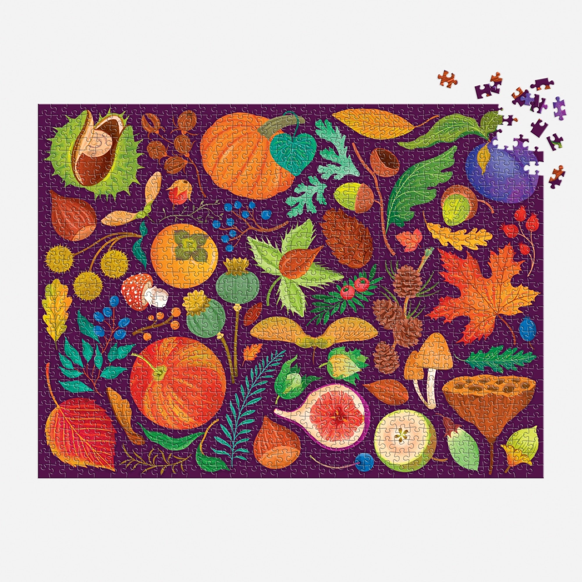 galison-world-of-fall-flora-puzzle-1000-teile-herbst image 4