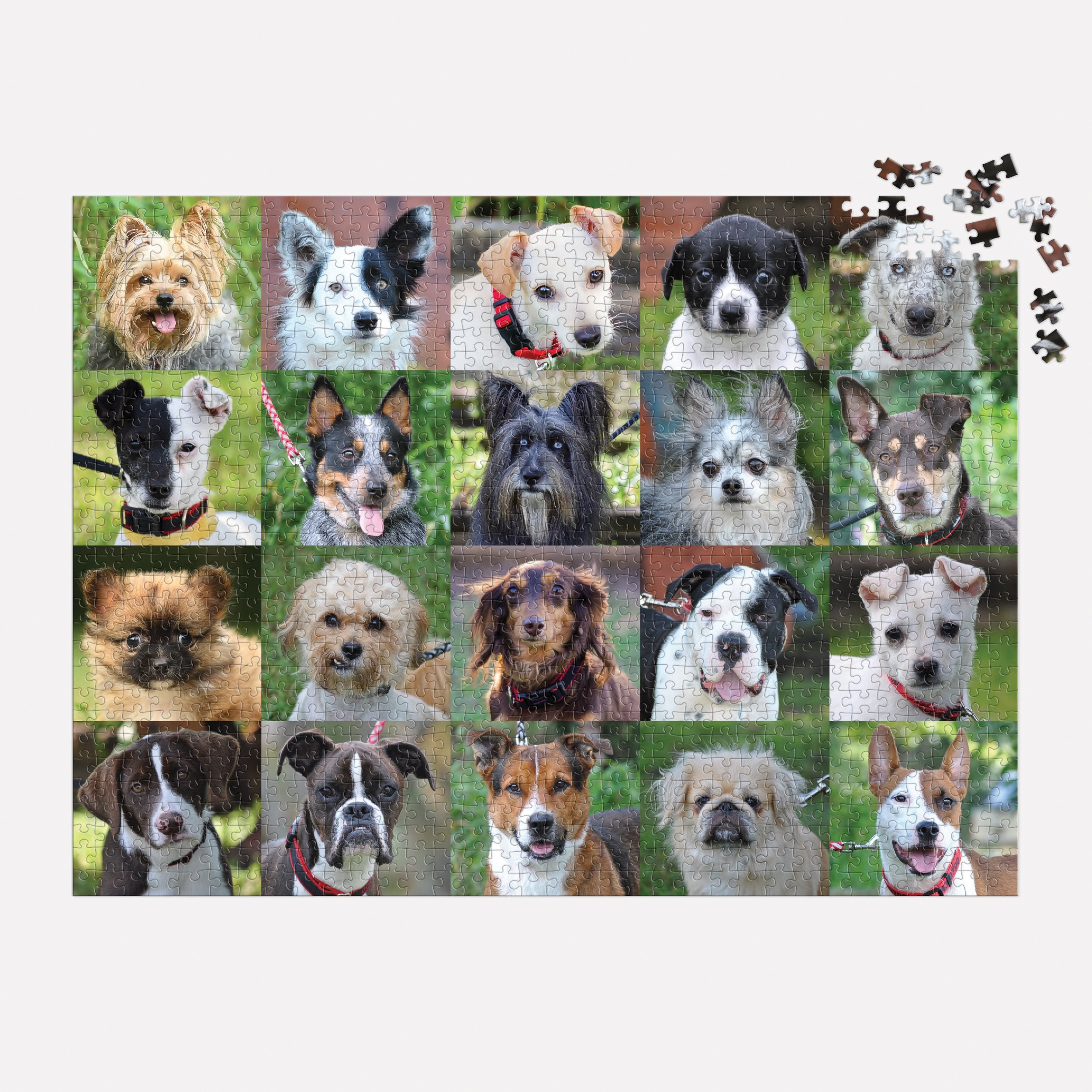 galison-rescue-dogs-puzzle-1000-teile-hunde image 4