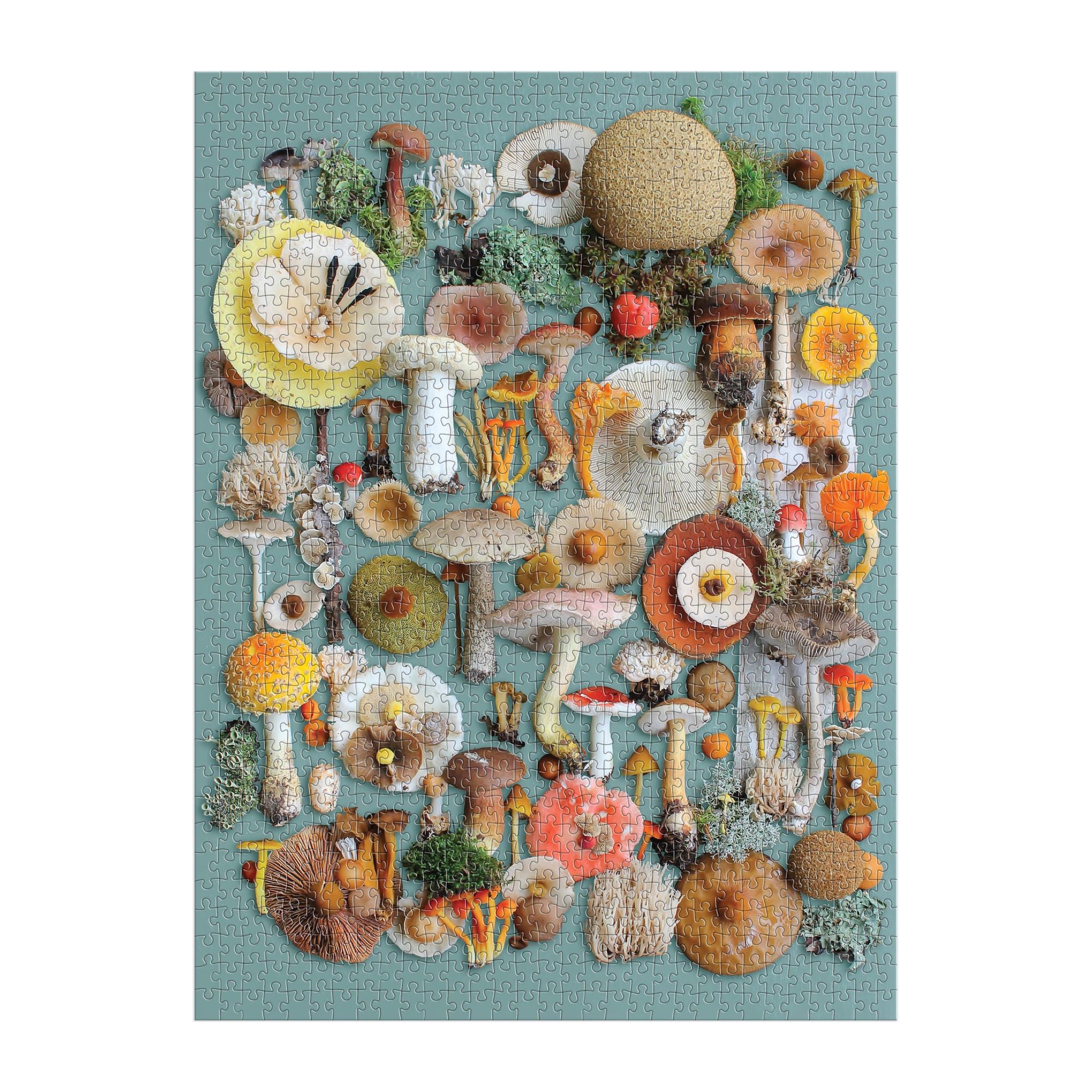 galison-foraged-puzzle-1000-teile-pilze image 4
