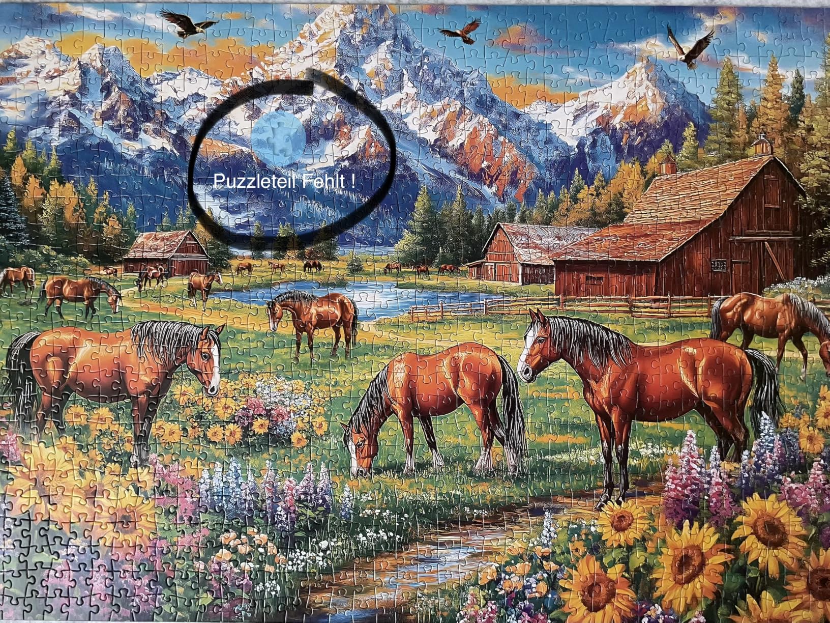 Bild gefällt