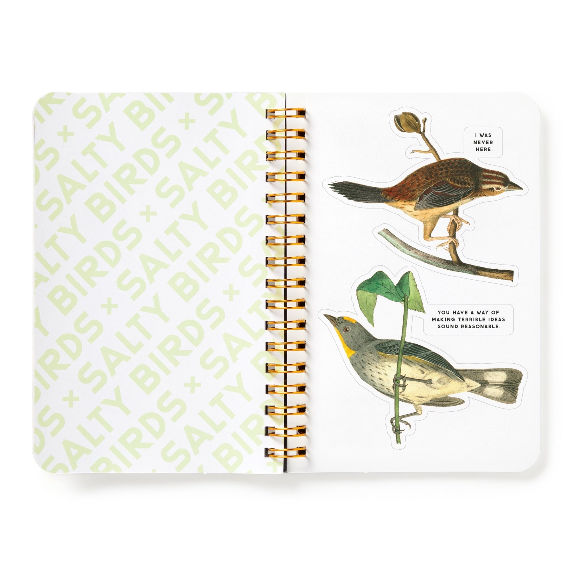 galison-salty-birds-stickerbuch-aufkleberbuch-20-seiten-vintage image 6