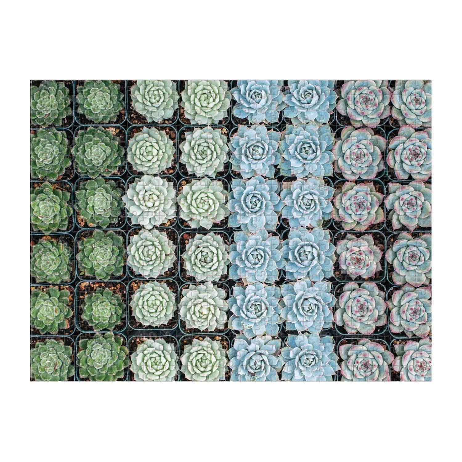 galison-succulent-garden-500-teile-puzzle-doppelseitig-sukkulenten image 4