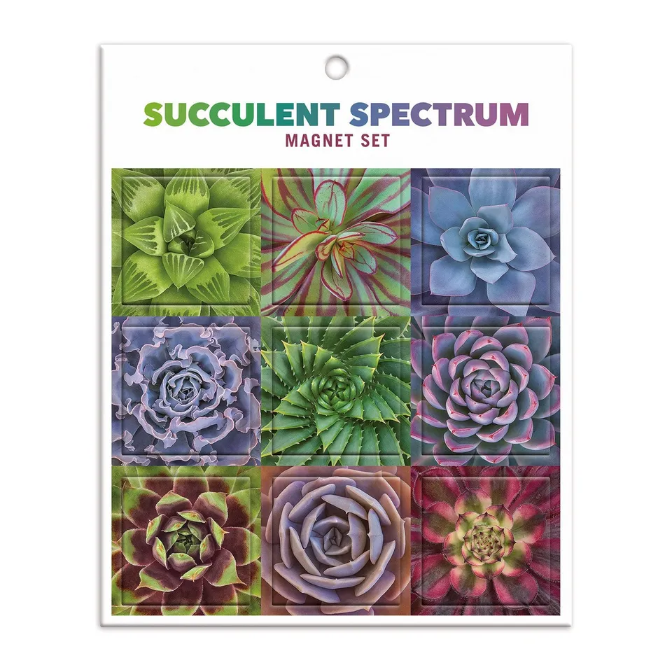 galison-succulent-spectrum-magnetset-sukkulenten-9er image 1