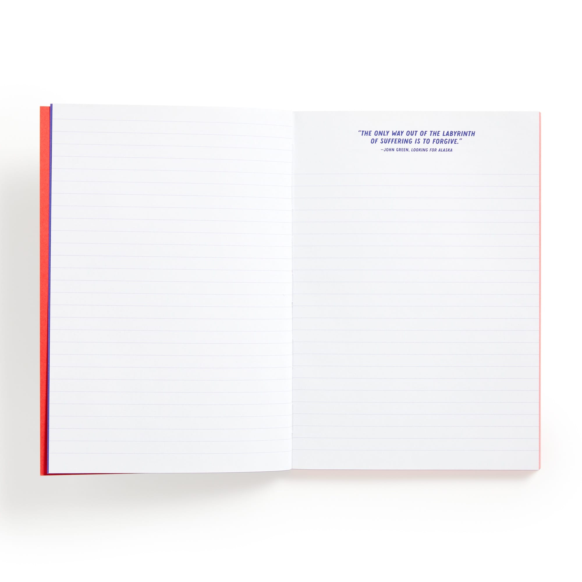 galison-i-read-banned-books-a5-notizbuch-liniert image 5