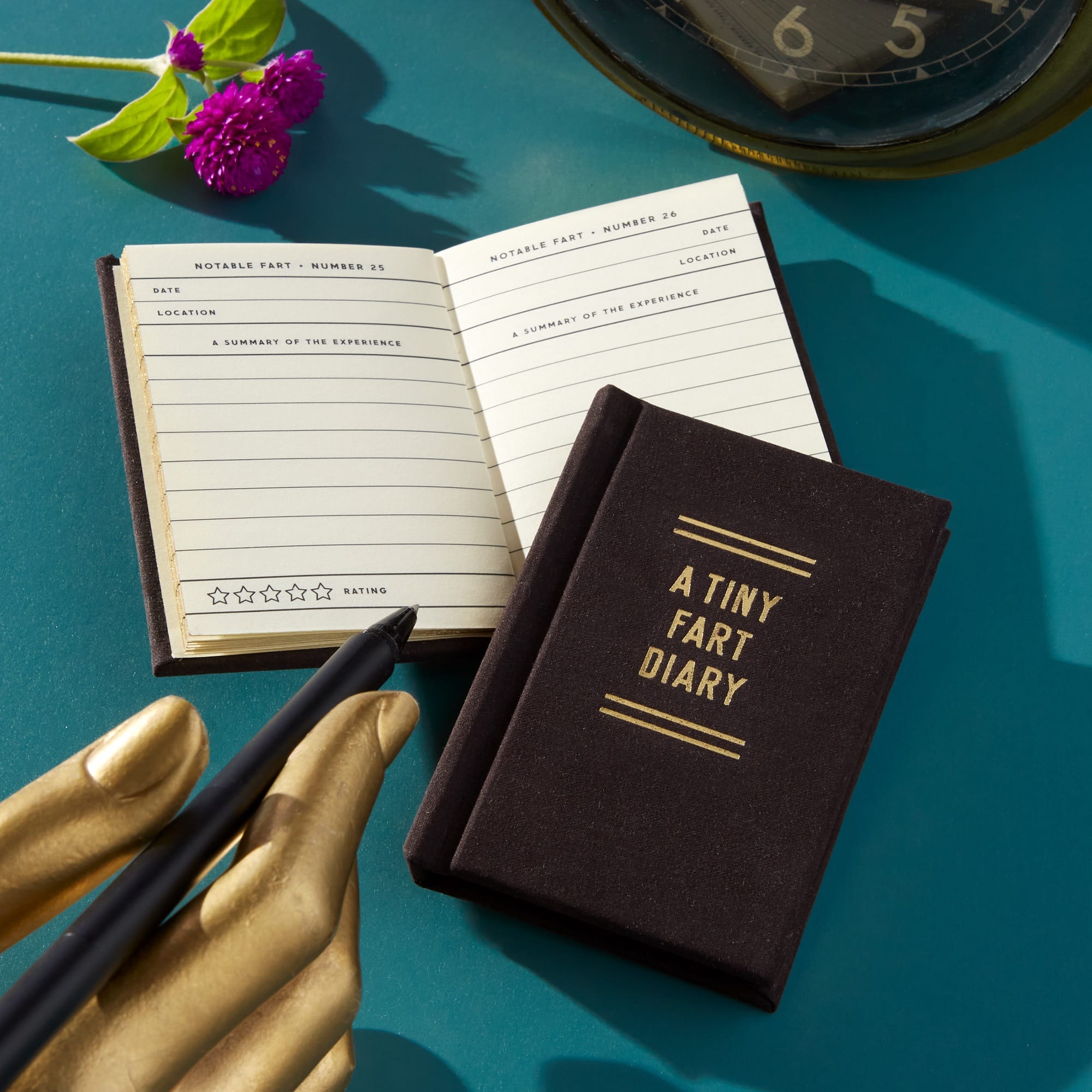 galison-a-tiny-fart-diary-tagebuch-mini-filz image 2