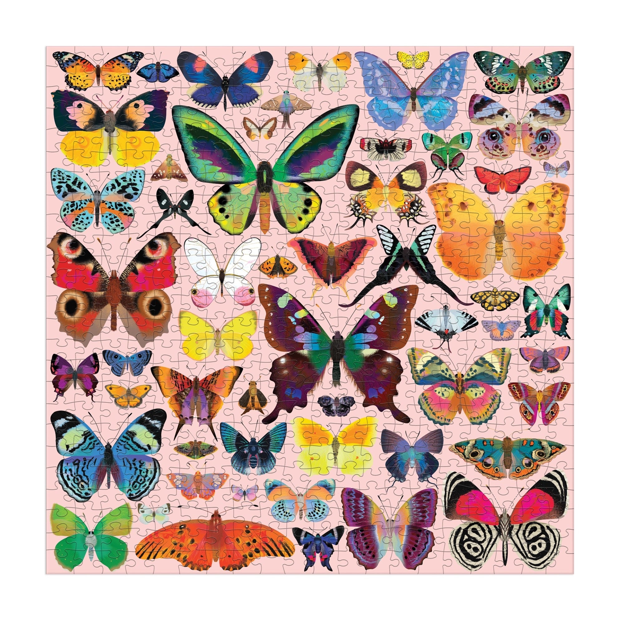 galison-brilliant-butterflies-500-teile-puzzle-schmetterling image 3