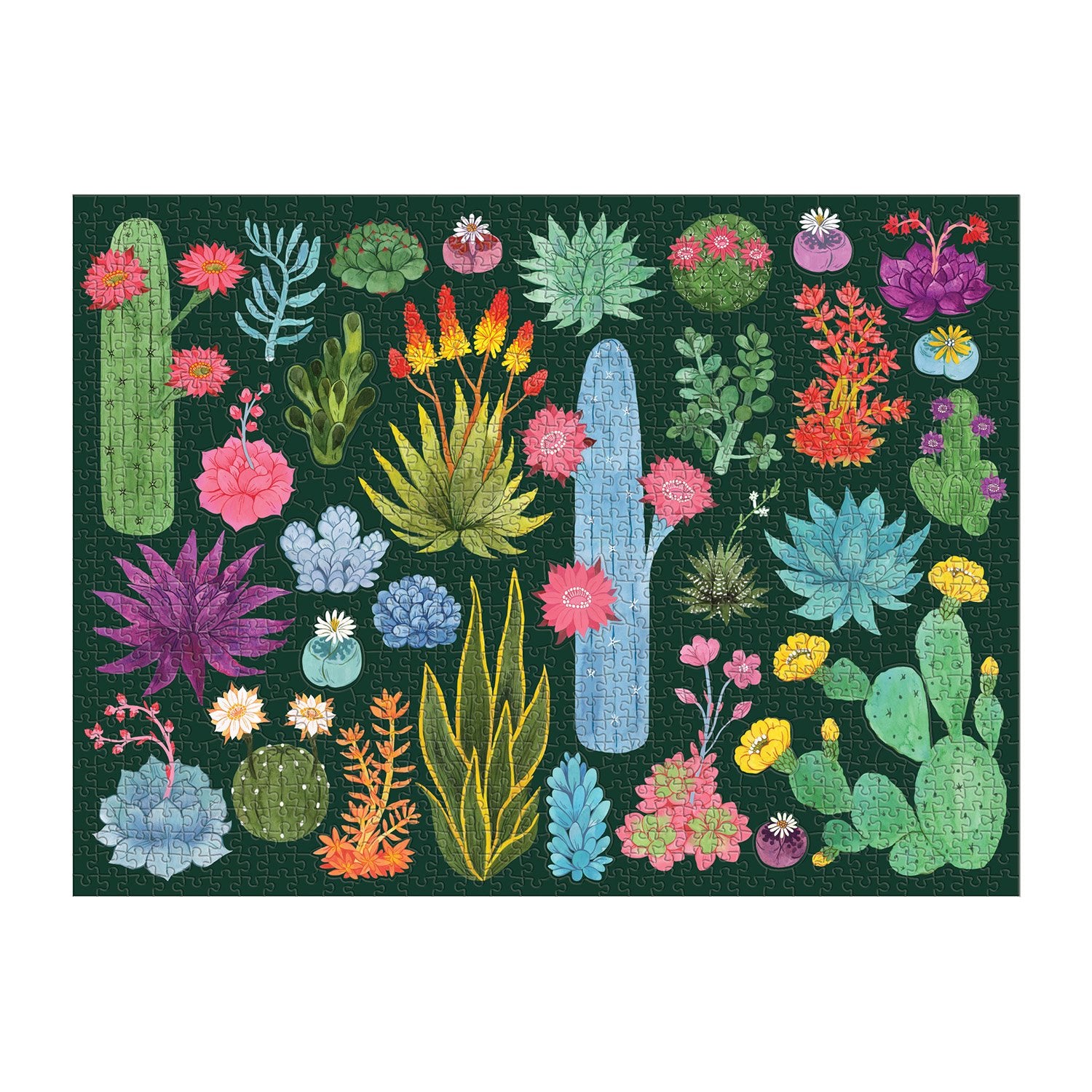 galison-desert-flora-puzzle-1000-teile-blumen-formteile image 3
