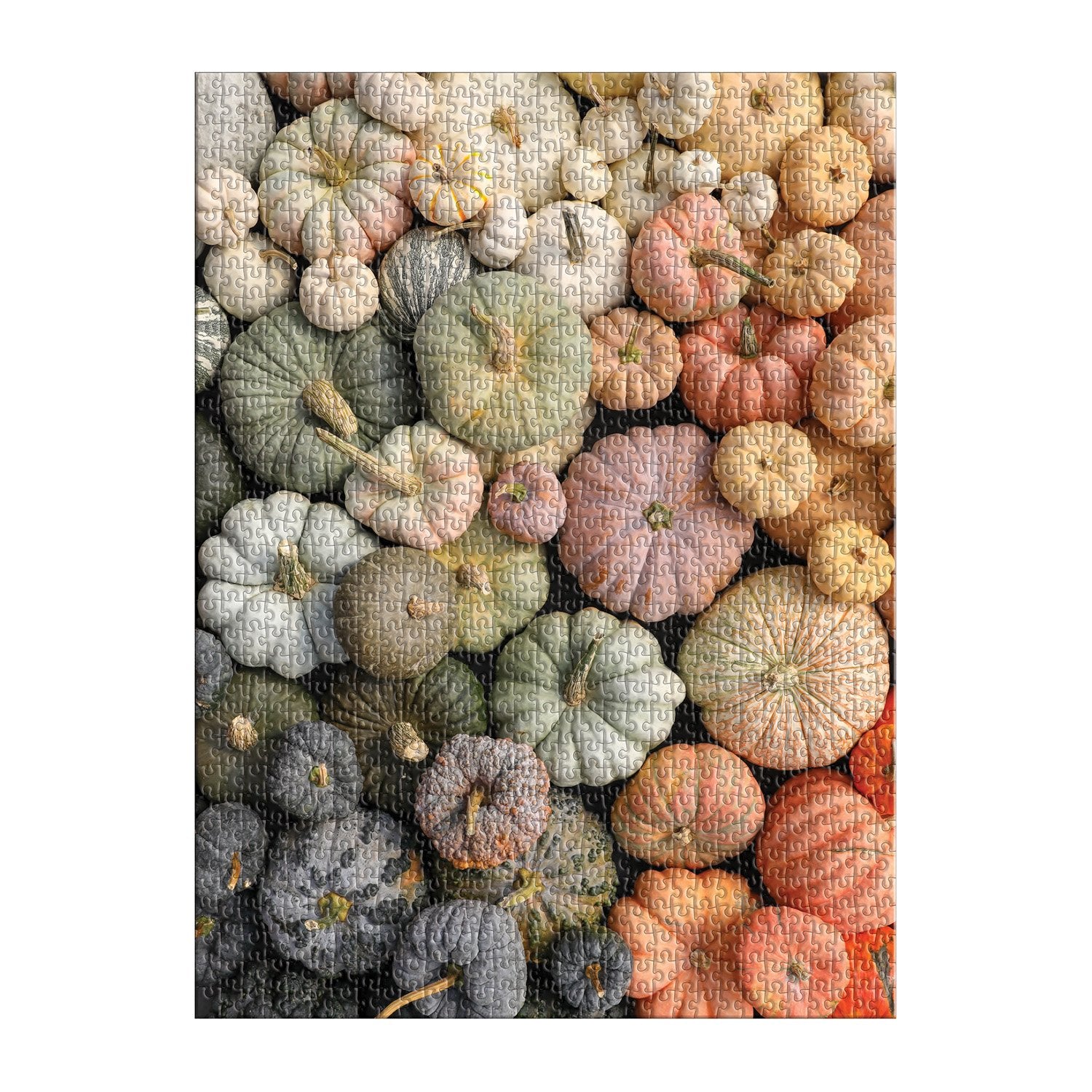 galison-heirloom-pumpkins-puzzle-1000-teile-herbst image 3