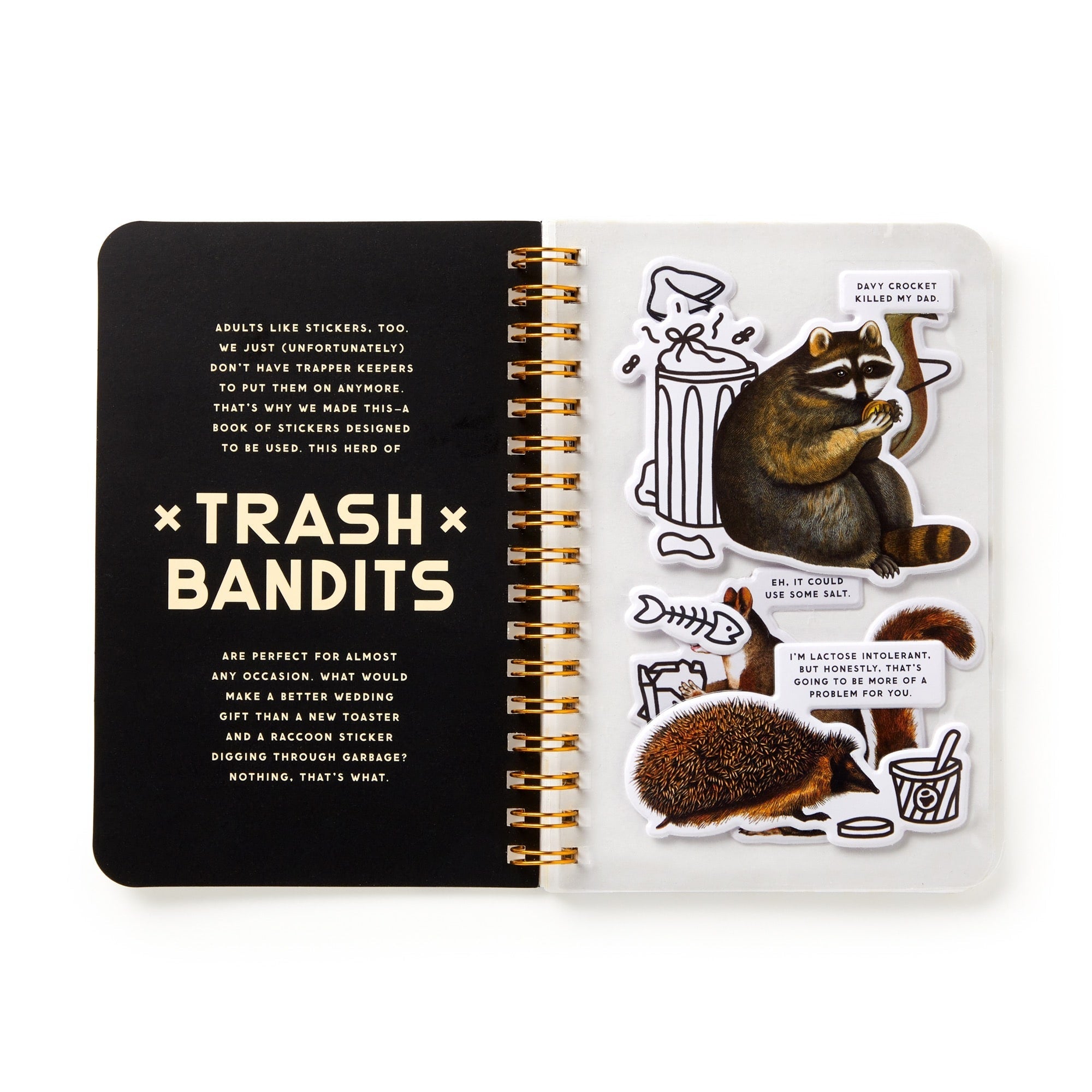 galison-trash-bandits-stickerbuch-60-sticker-waschbaer image 4