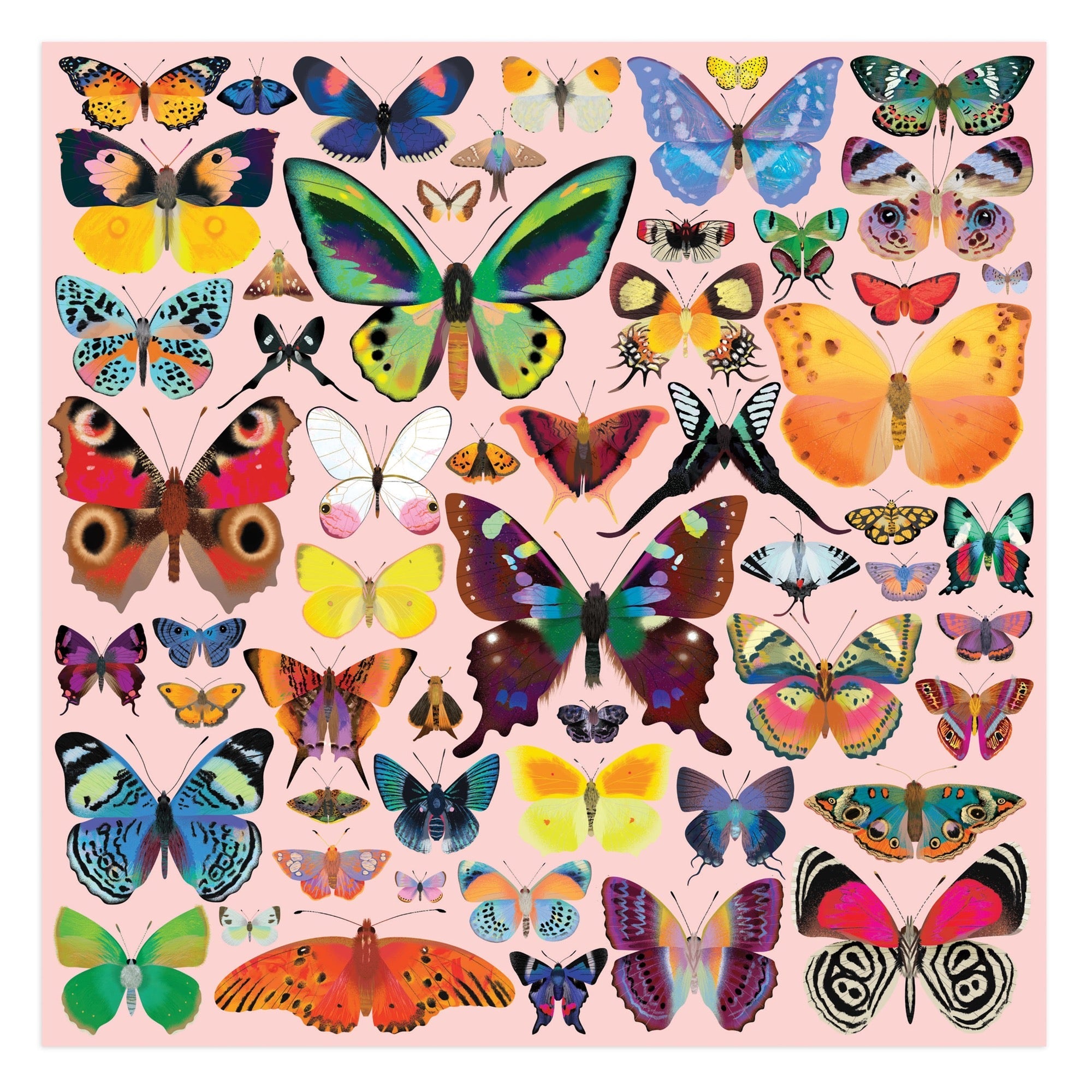 galison-brilliant-butterflies-500-teile-puzzle-schmetterling image 5