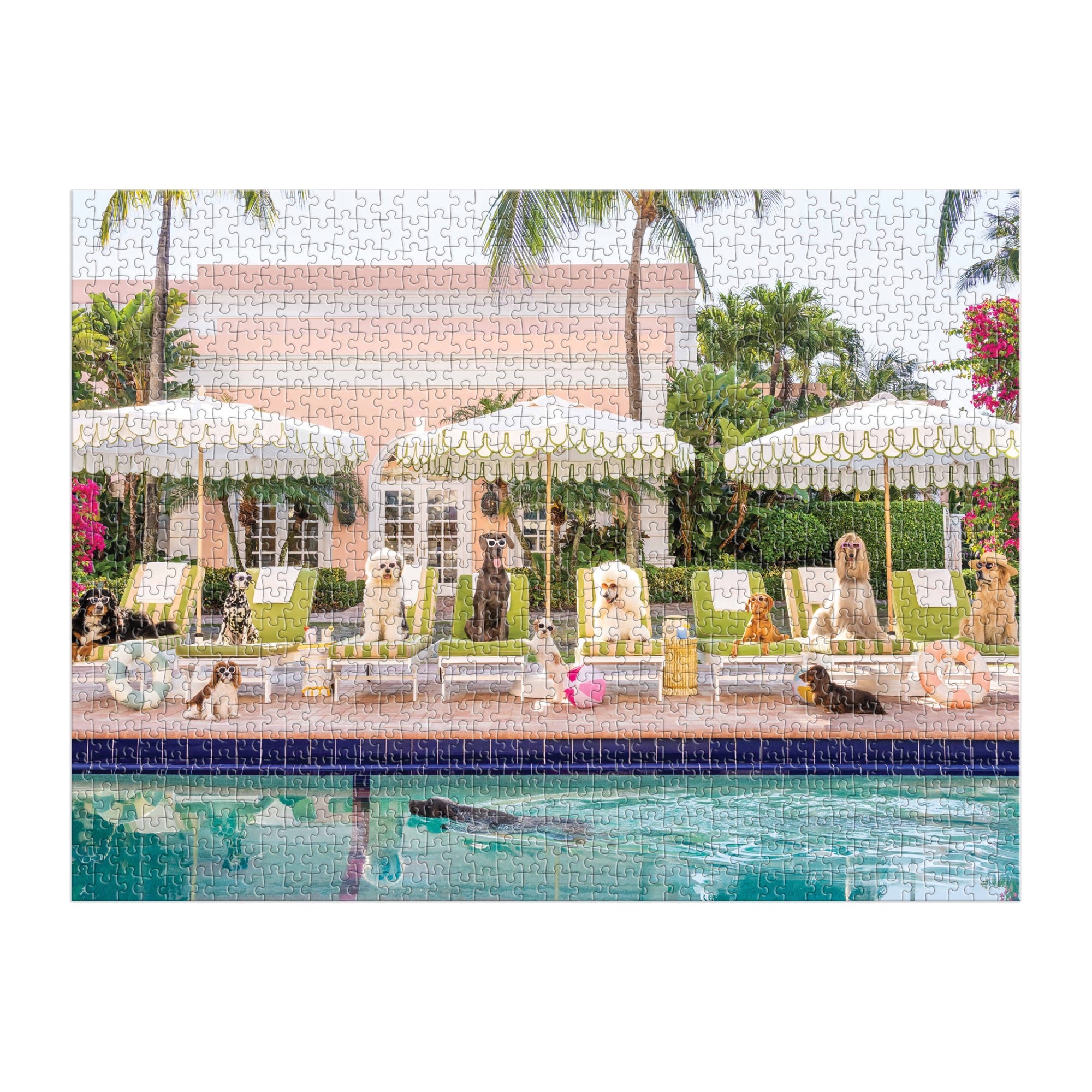 galison-pool-day-palm-beach-puzzle-1000-teile-buchbox image 5