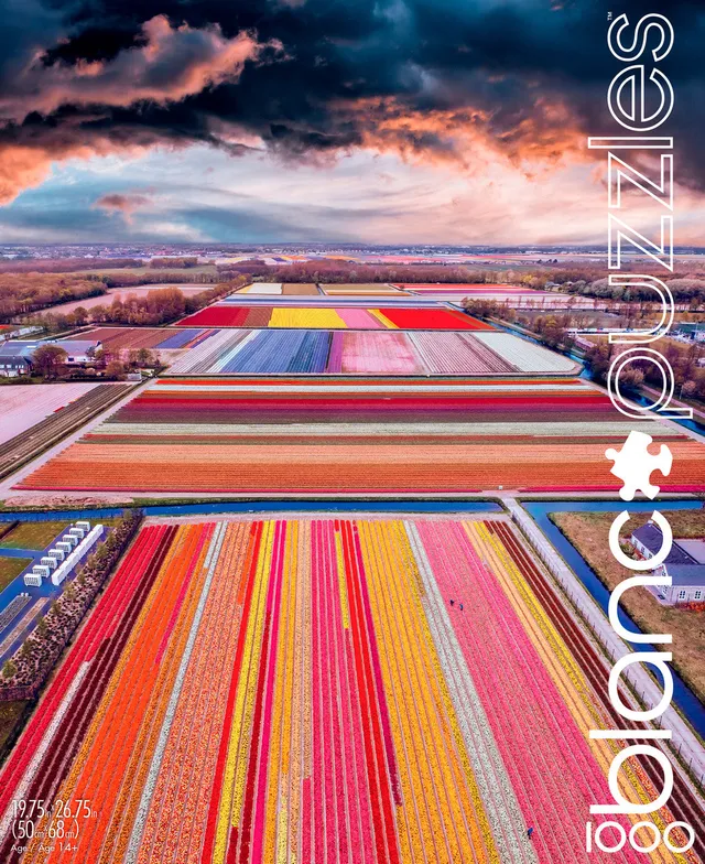 buffalo-games-blanc-infinity-fields-puzzle-1000-teile-blumen image 1