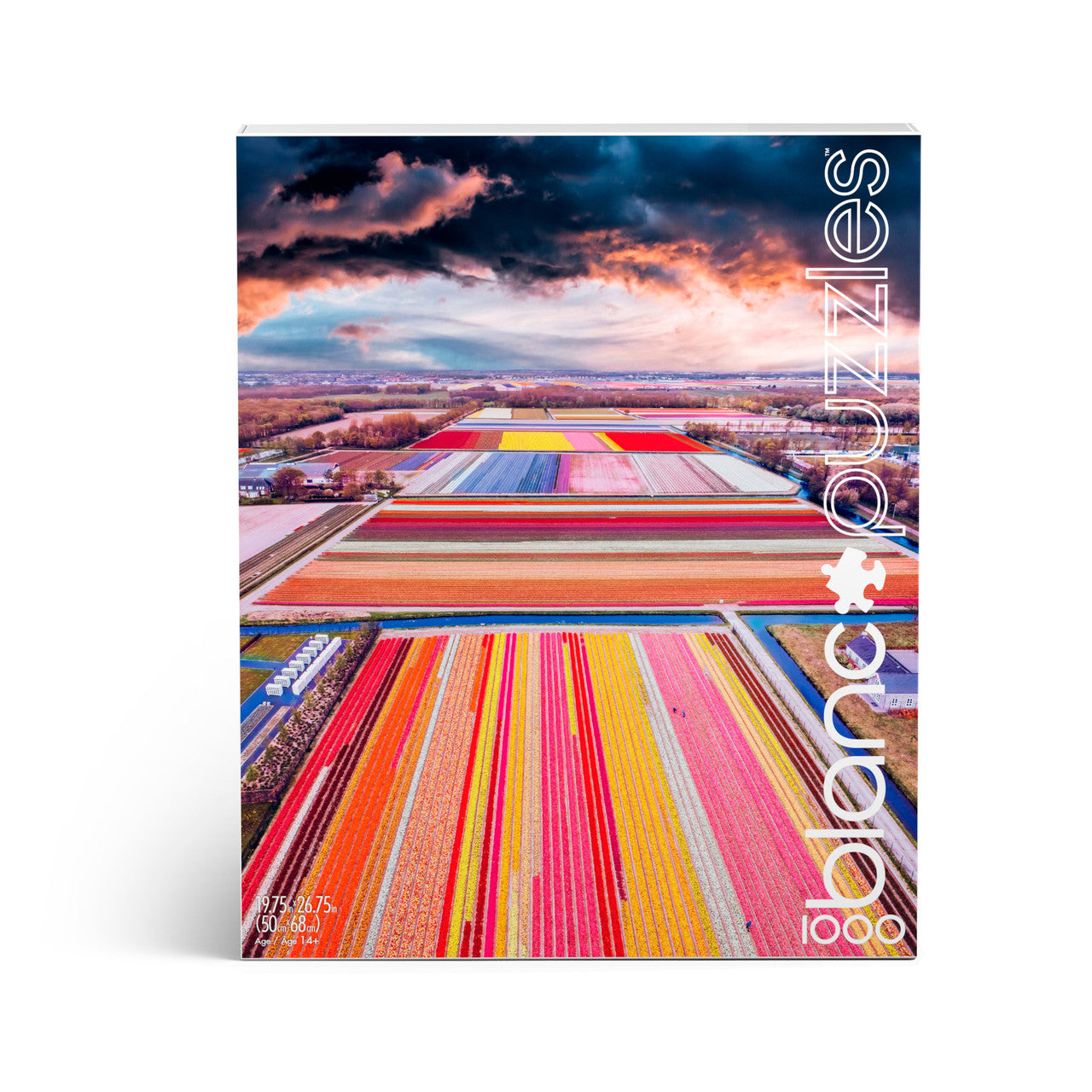buffalo-games-blanc-infinity-fields-puzzle-1000-teile-blumen image 3