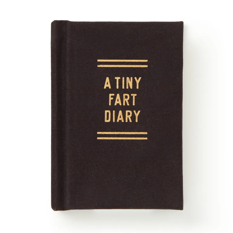 galison-a-tiny-fart-diary-tagebuch-mini-filz image 1
