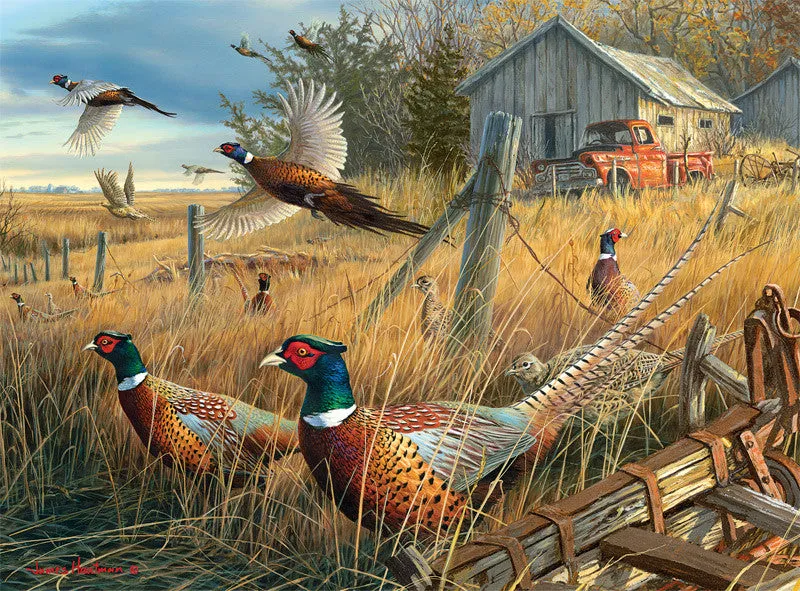 buffalo-games-hautman-memory-lane-1000-teile-puzzle-natur image 1