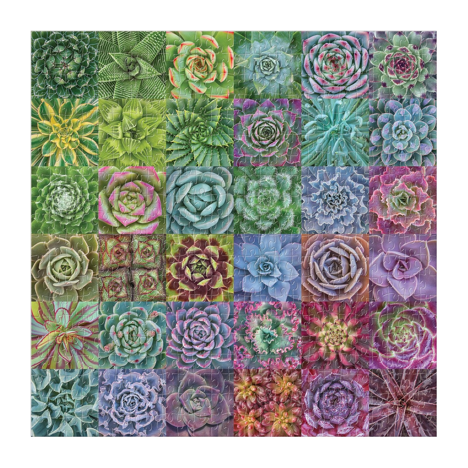 galison-troy-litten-succulent-spectrum-500-teile-puzzle image 3