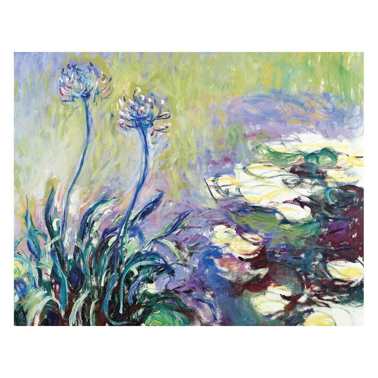 galison-monet-waterlily-kartenbox-16-karten-seerosen image 2
