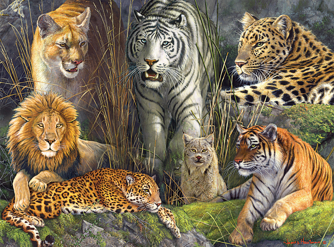 buffalo-games-hautman-big-cat-collage-1000-teile-puzzle image 1