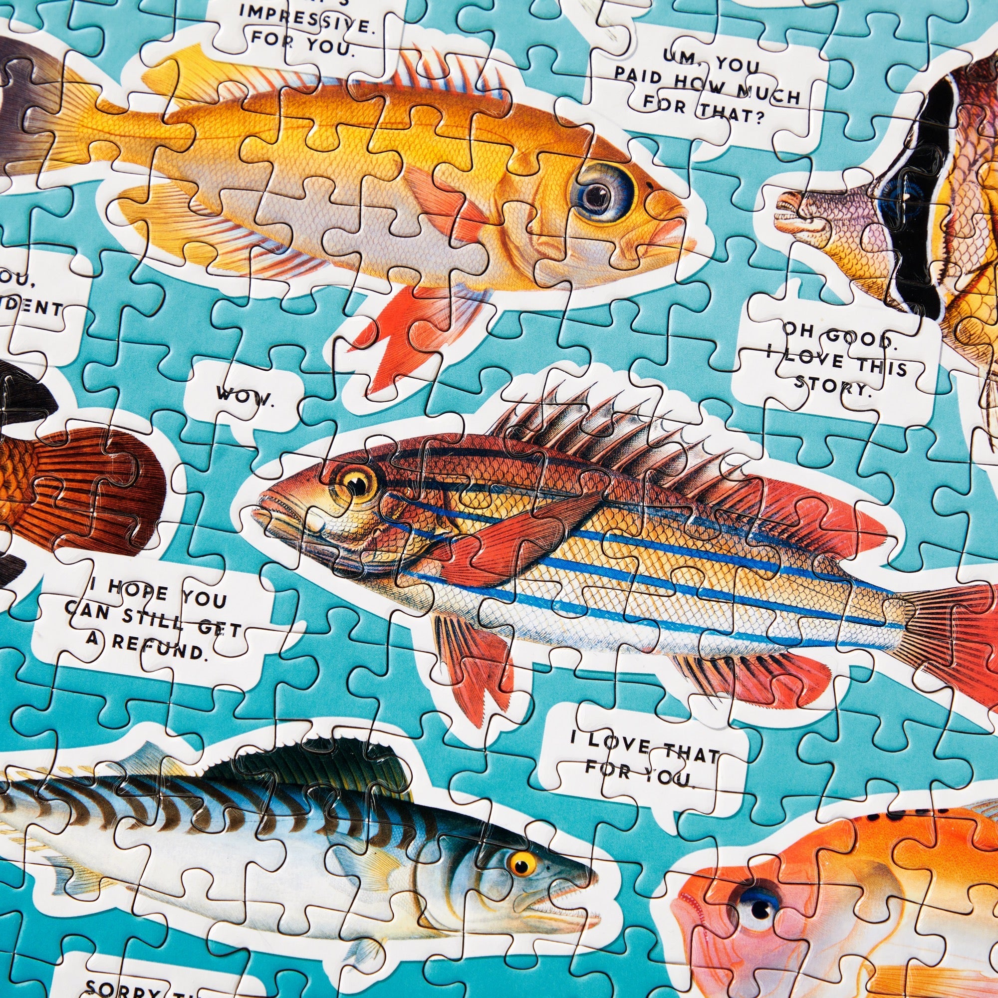 galison-judgy-fish-1000-teile-puzzle-fische-mit-stickern image 7