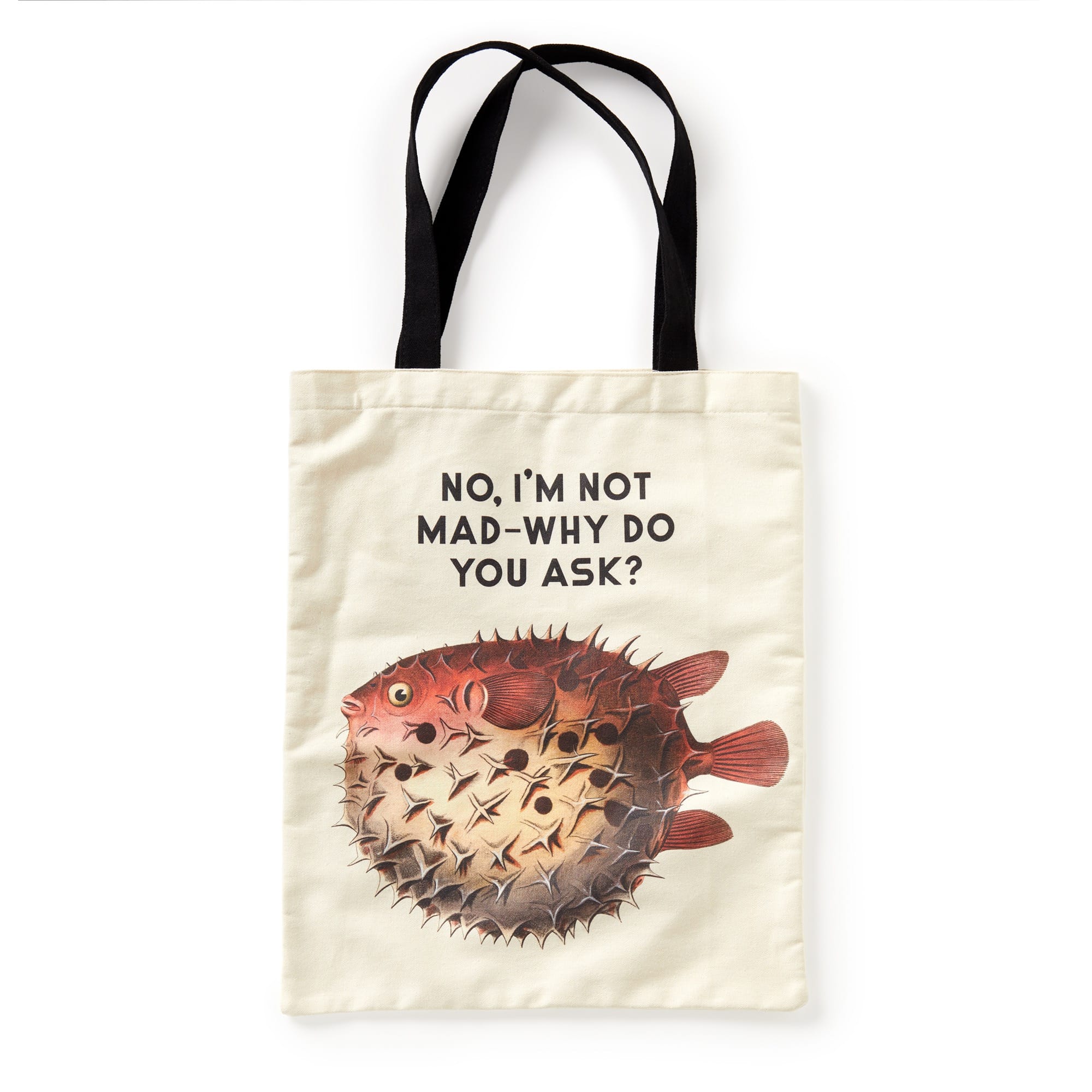 galison-judgy-fish-canvas-tote-stofftasche-fische image 2