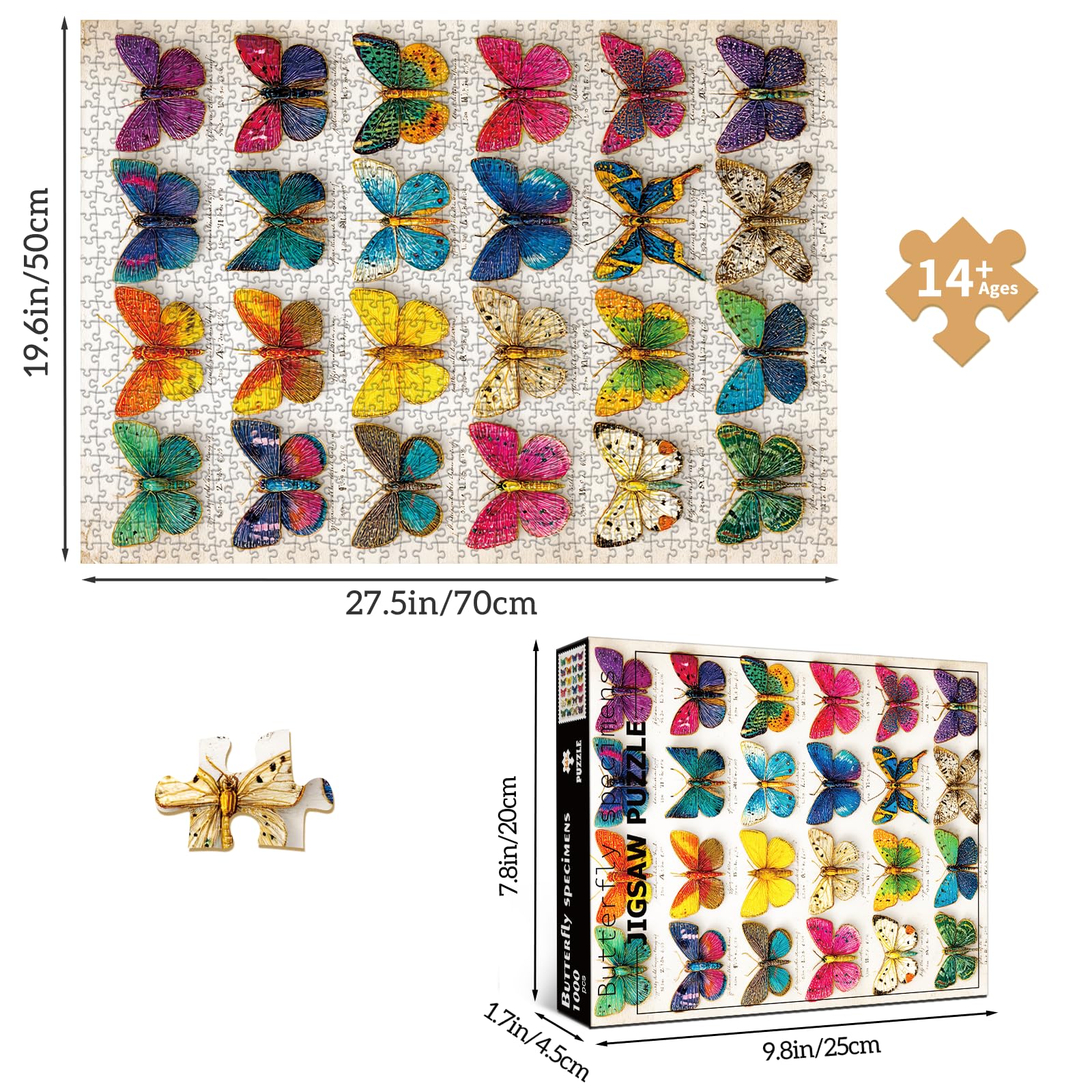 huadada-1000-teile-puzzle-schmetterlingsexemplar-70x50-cm-retro image 6