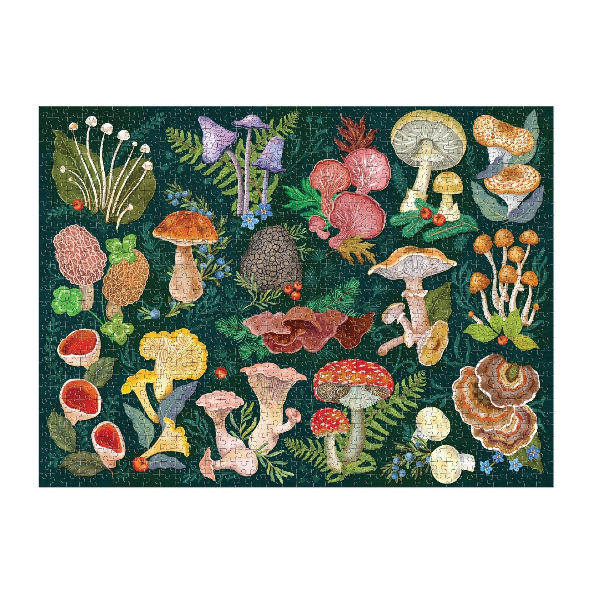 galison-world-of-mushrooms-puzzle-1000-teile-pilze-natur image 3