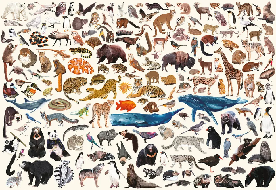 buffalo-games-conservation-collage-2000-teile-puzzle-tiere image 1