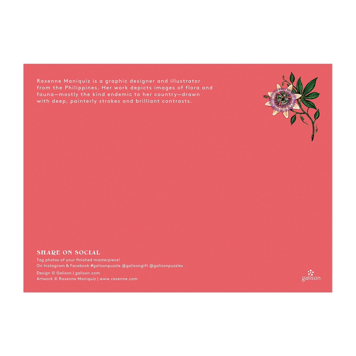 galison-tropics-puzzle-1000-teile-mit-20-sonderformen image 5