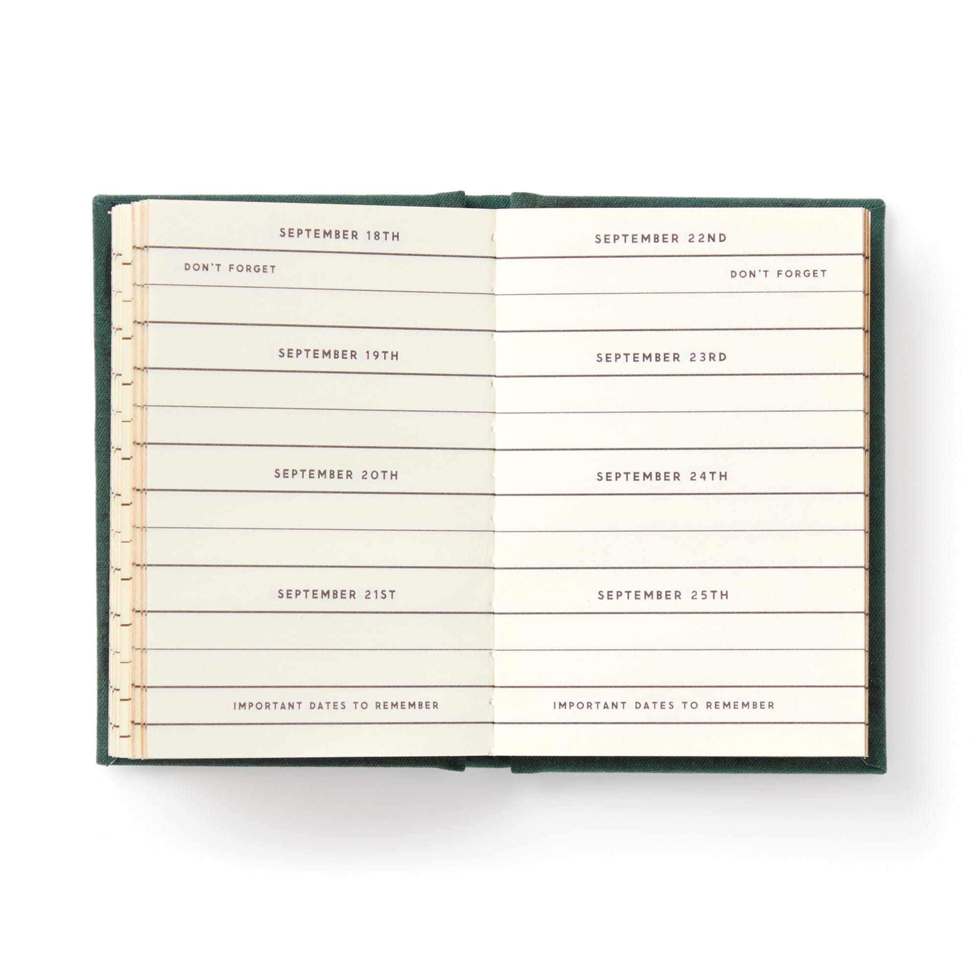 galison-tiny-diary-mini-notizbuch-goldschnitt-112-s image 5