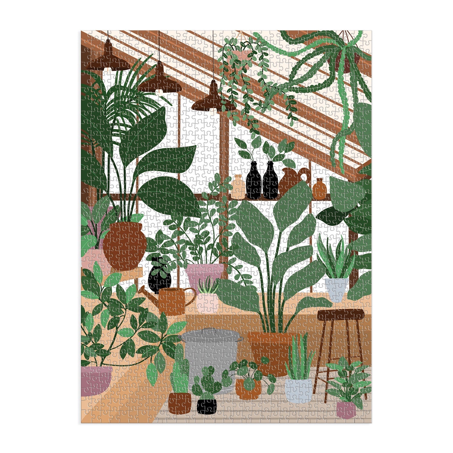 galison-house-of-plants-1000-teile-puzzle-zimmerpflanzen image 3