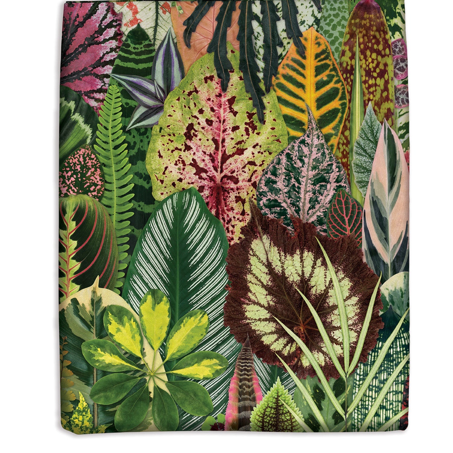 galison-troy-litten-houseplant-jungle-tote-bag-pflanzen image 2