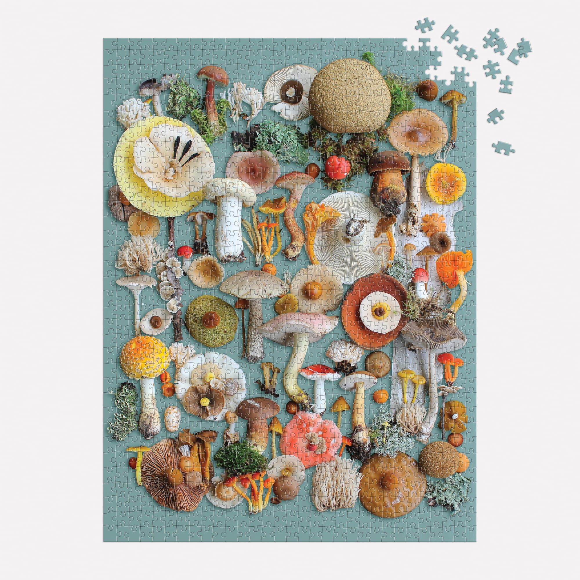 galison-foraged-puzzle-1000-teile-pilze image 3