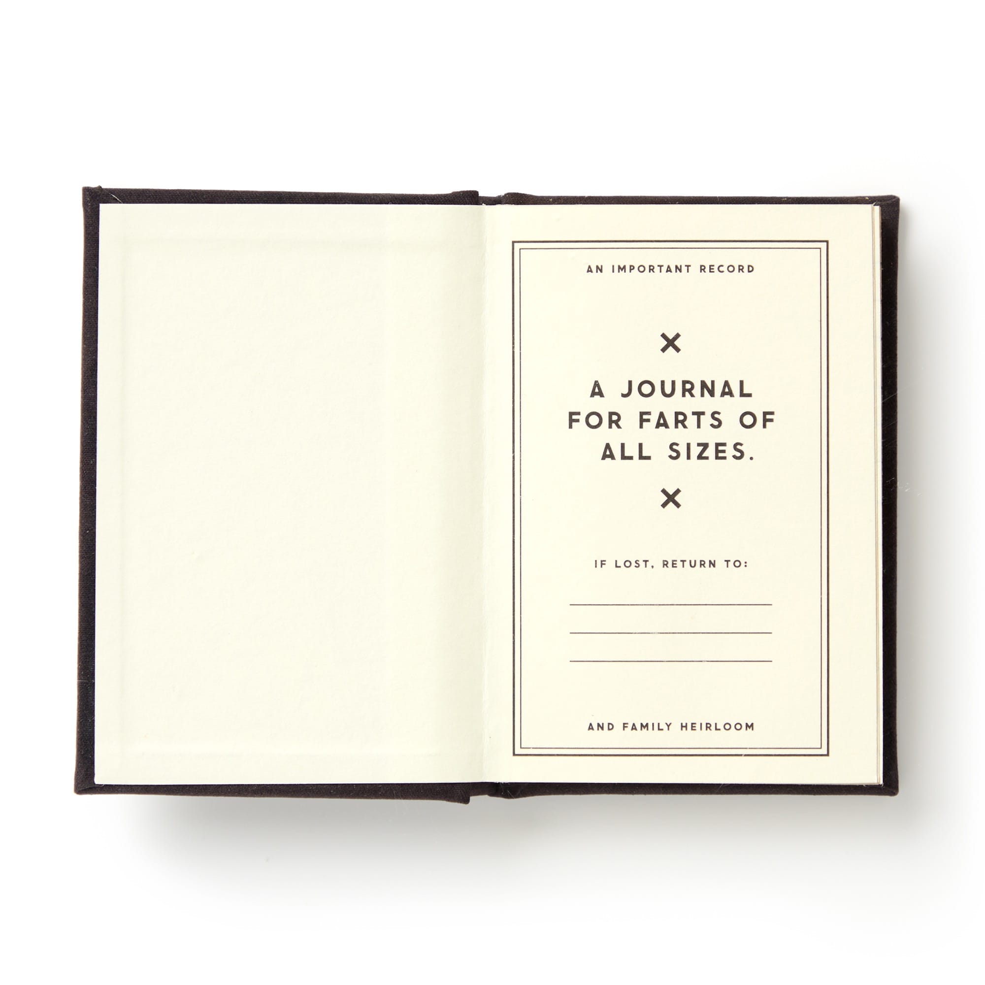 galison-a-tiny-fart-diary-tagebuch-mini-filz image 5