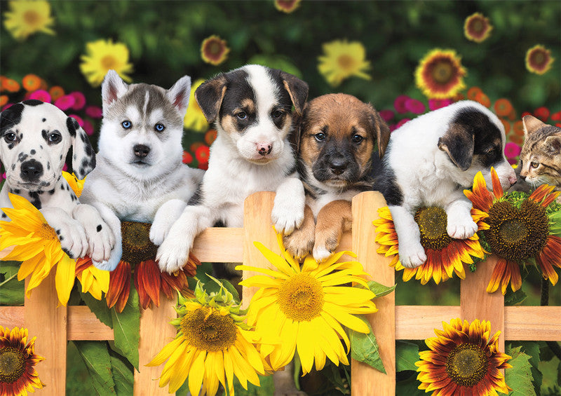 buffalo-games-adorable-animals-gang-s-all-here-puzzle-300-teile-hunde image 2