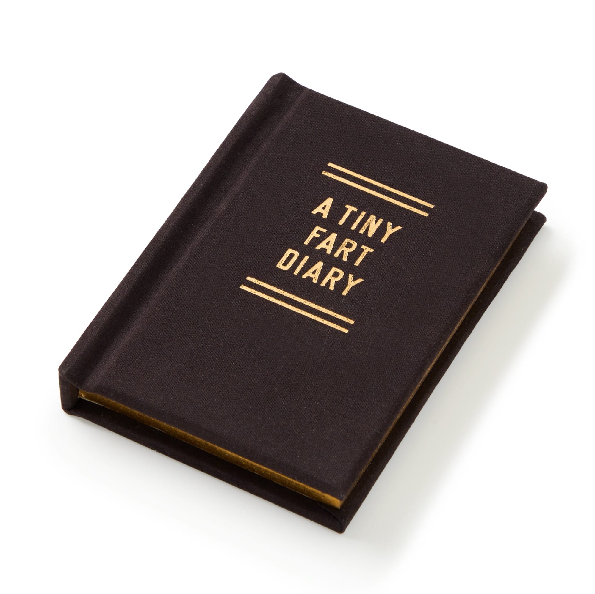 galison-a-tiny-fart-diary-tagebuch-mini-filz image 3