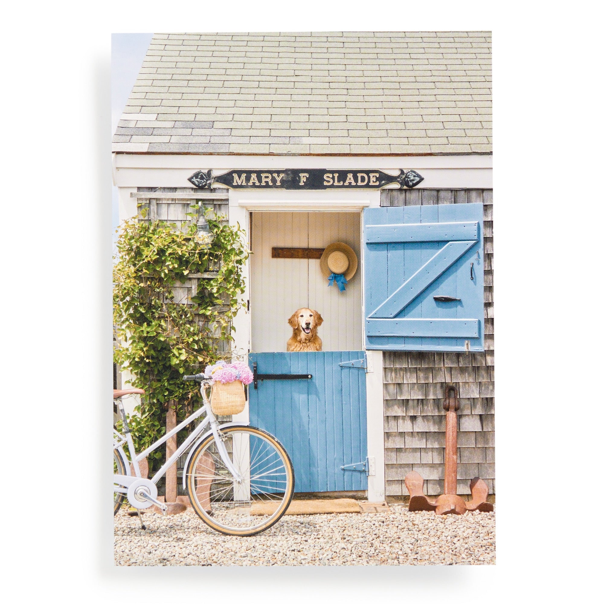 galison-gray-malin-nantucket-puzzle-1000-teile-buchbox image 7