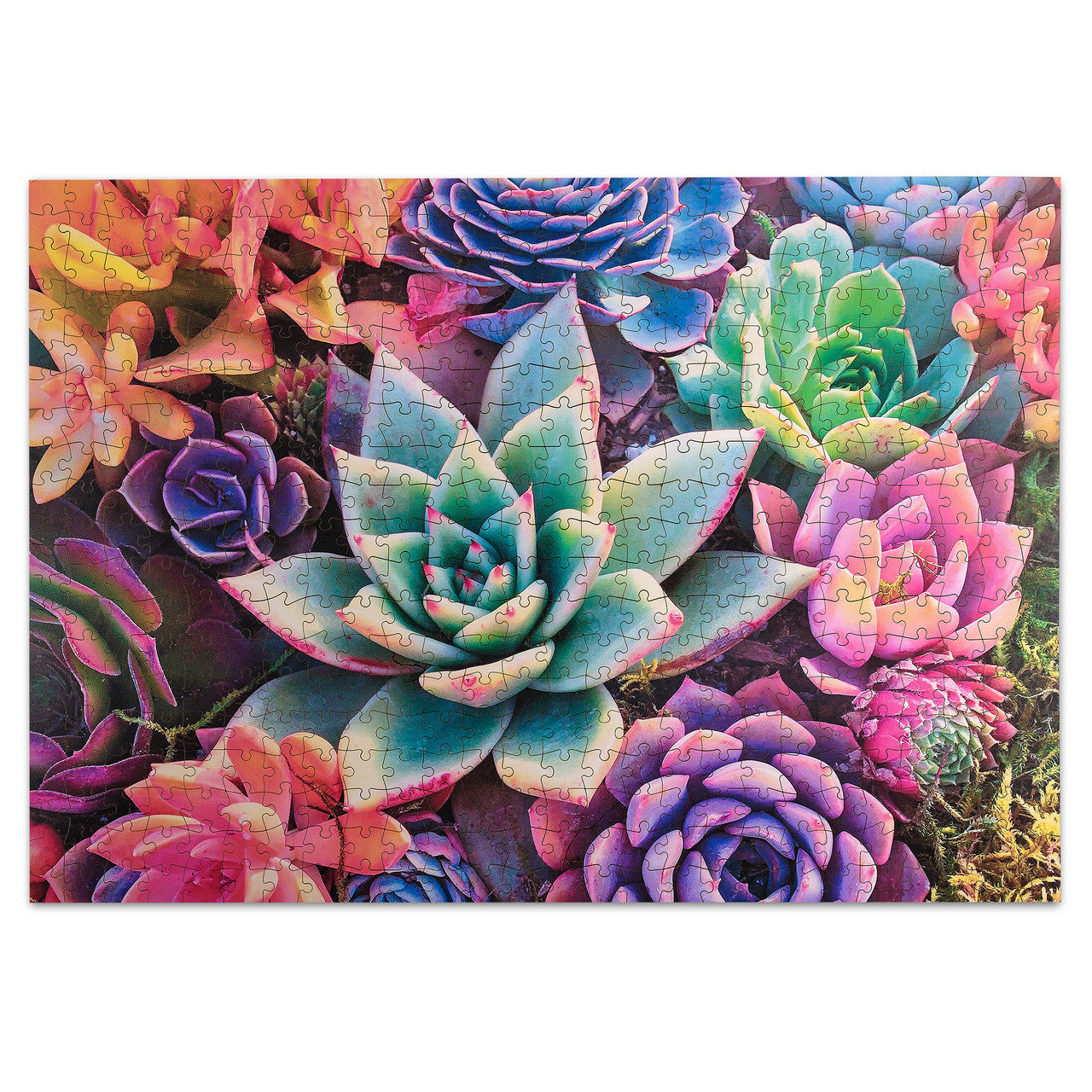 buffalo-games-simple-succulent-500-teile-holzpuzzle-pflanzen image 4