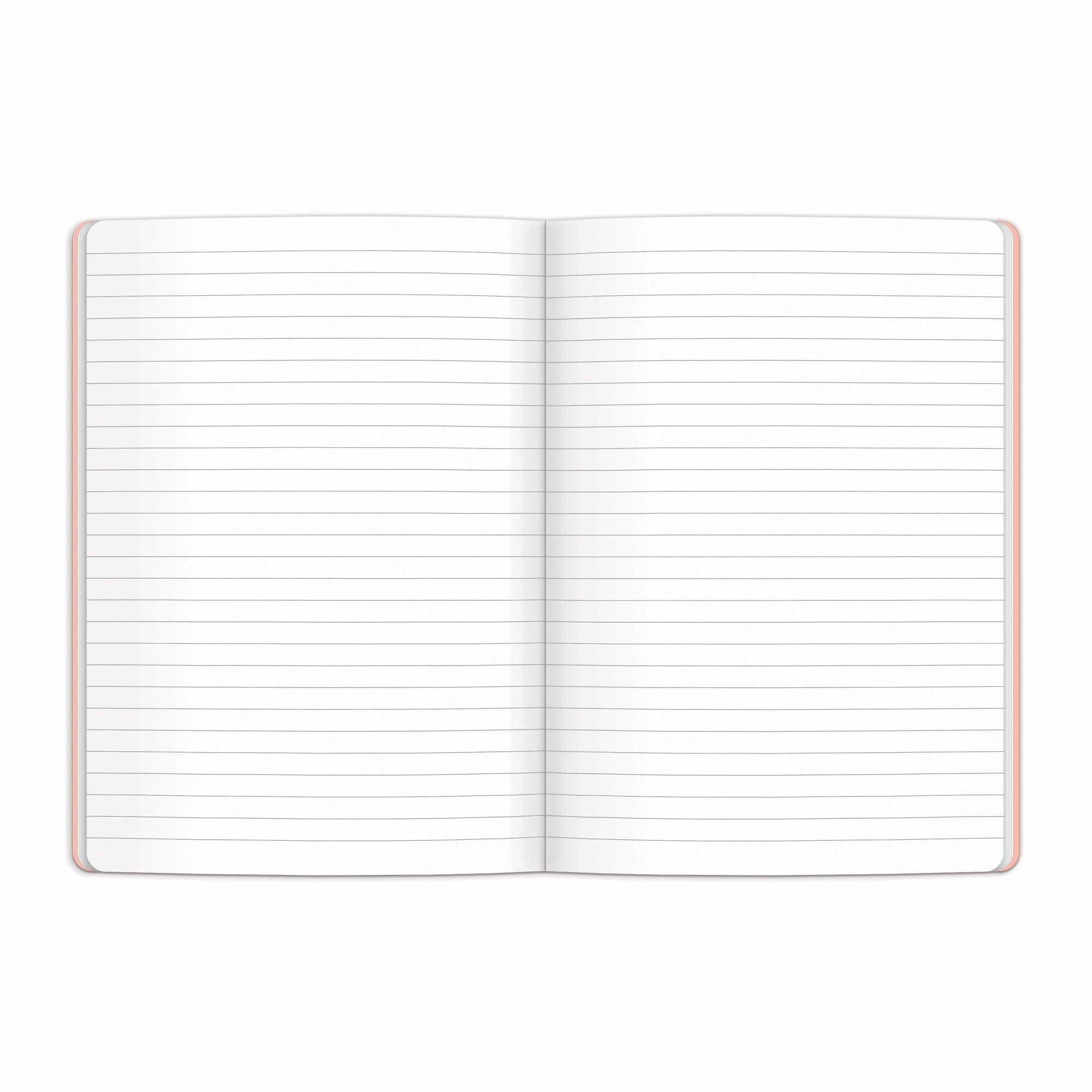 galison-spring-street-notizbuch-set-joy-laforme-liniert-2er image 4