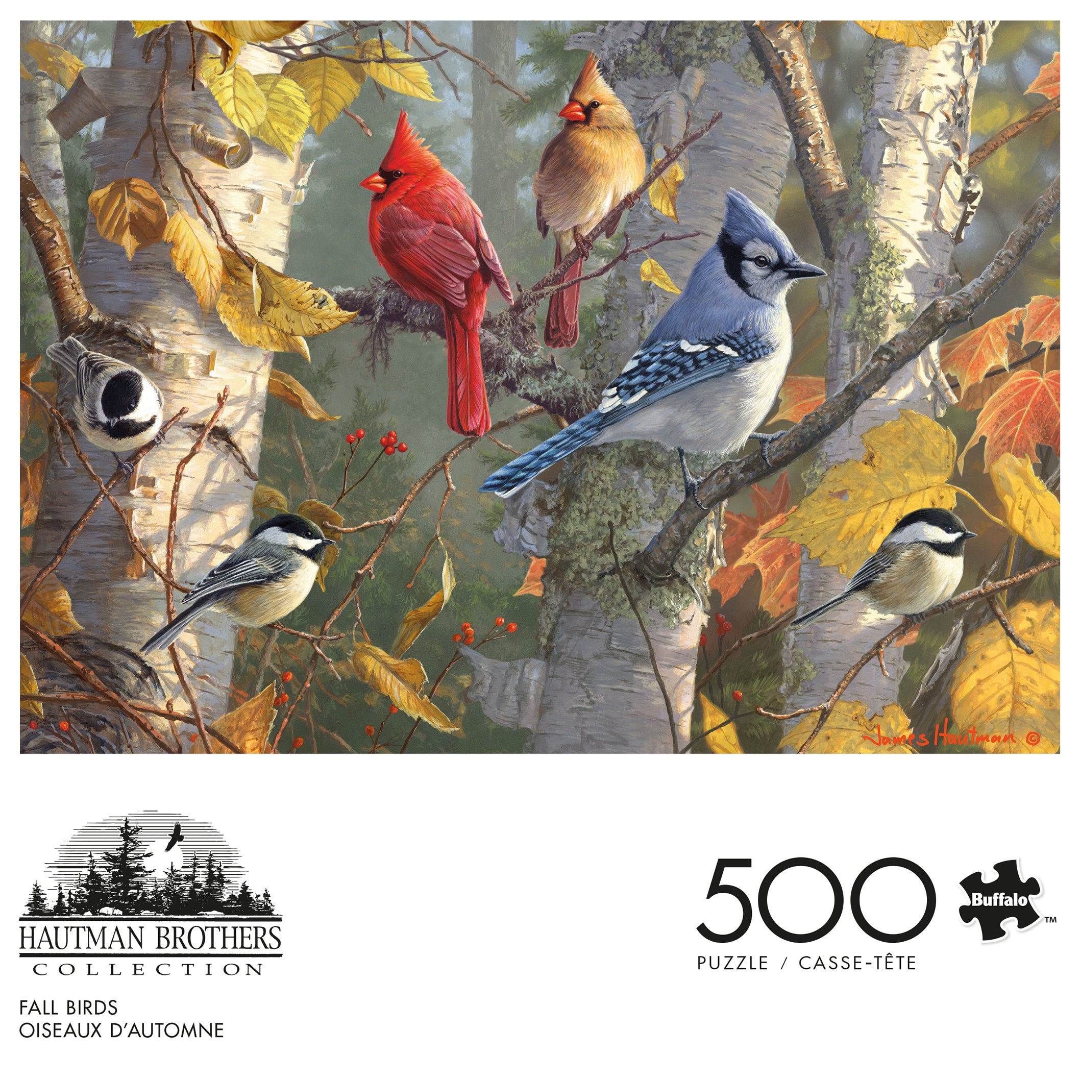 buffalo-games-fall-birds-puzzle-500-teile-v-gel image 2