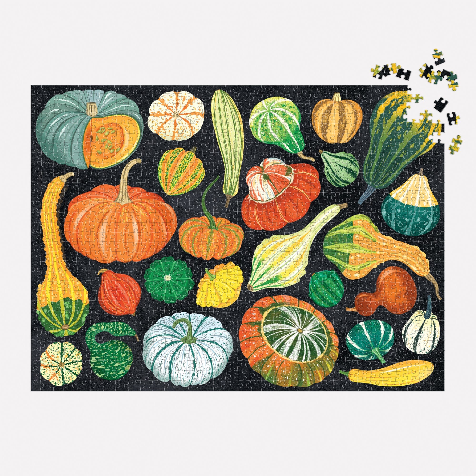 galison-world-of-pumpkins-puzzle-1000-teile-k-rbis image 4