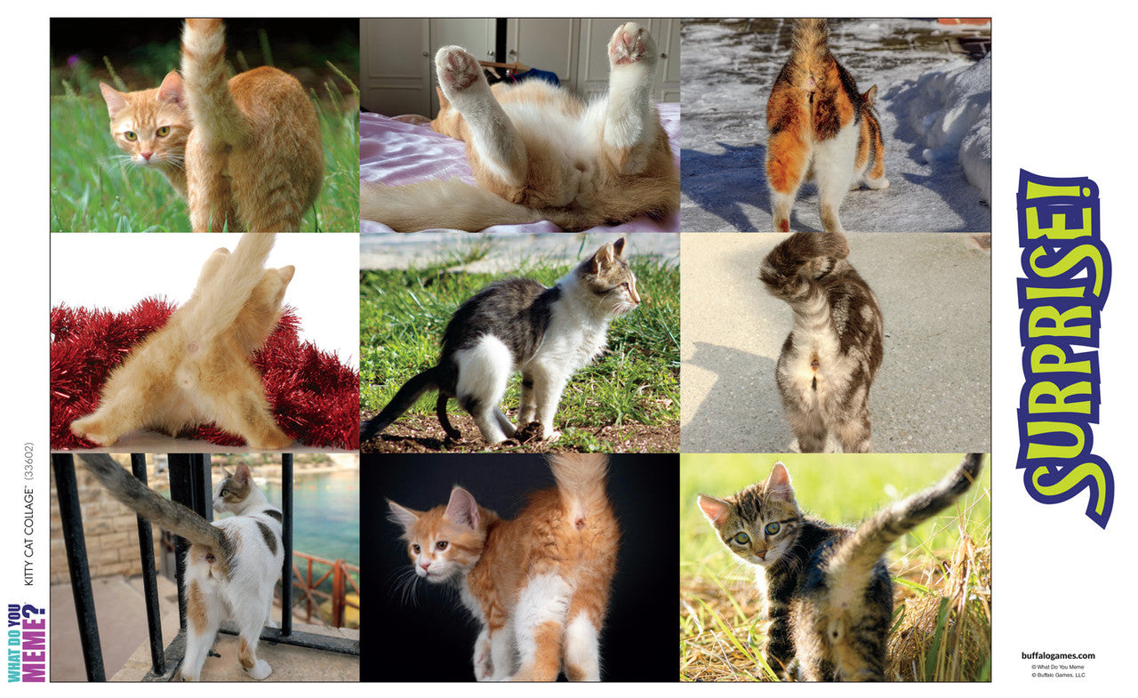 buffalo-games-prank-kitty-collage-puzzle-500-teile-scherz image 4