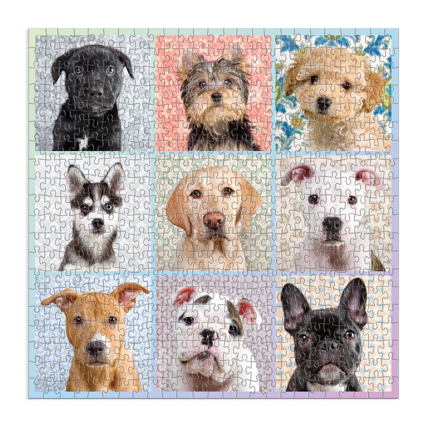 galison-good-puzzle-co-dog-portraits-500-teile-puzzle-hunde image 3