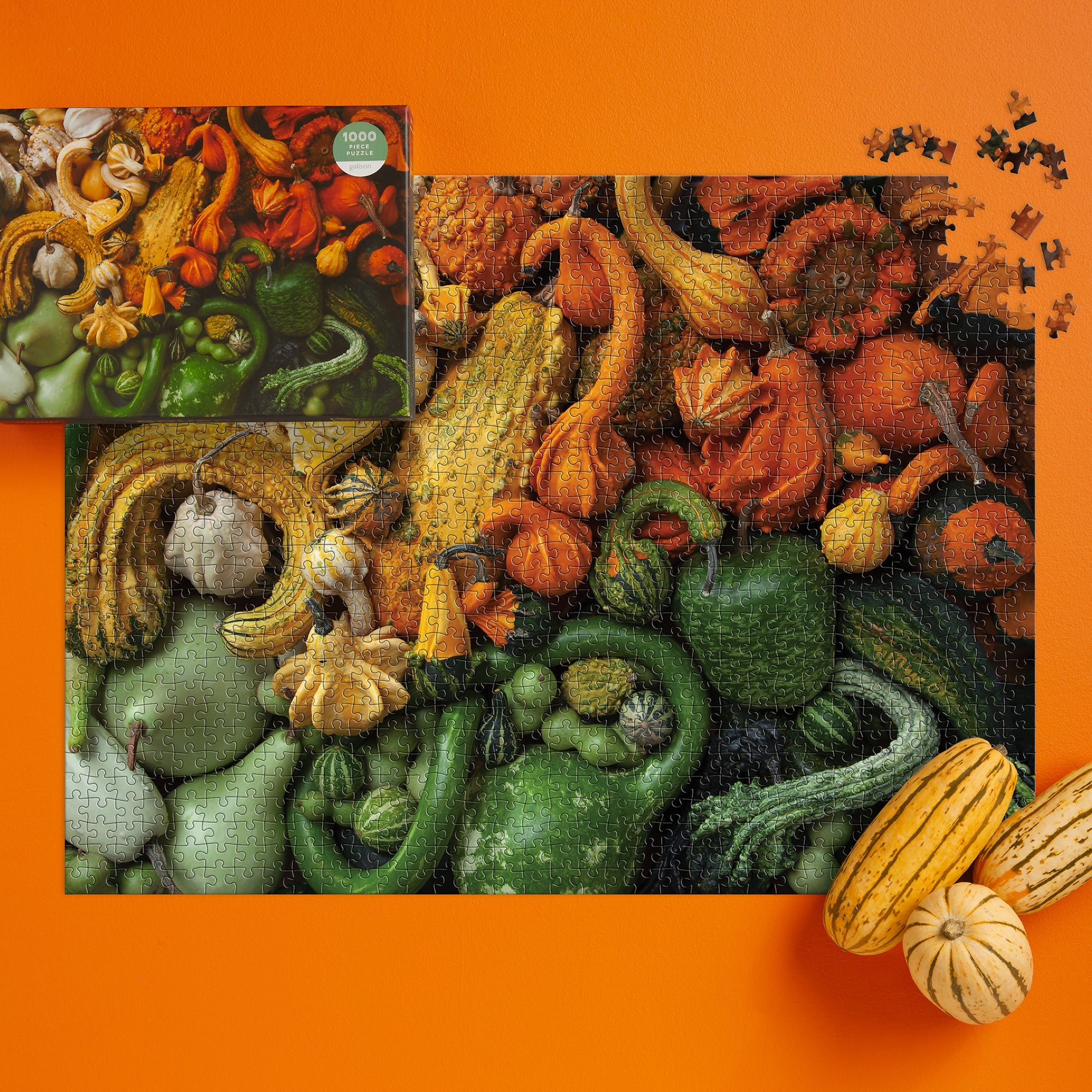 galison-gourds-1000-teile-puzzle-herbst-k-rbisse image 6