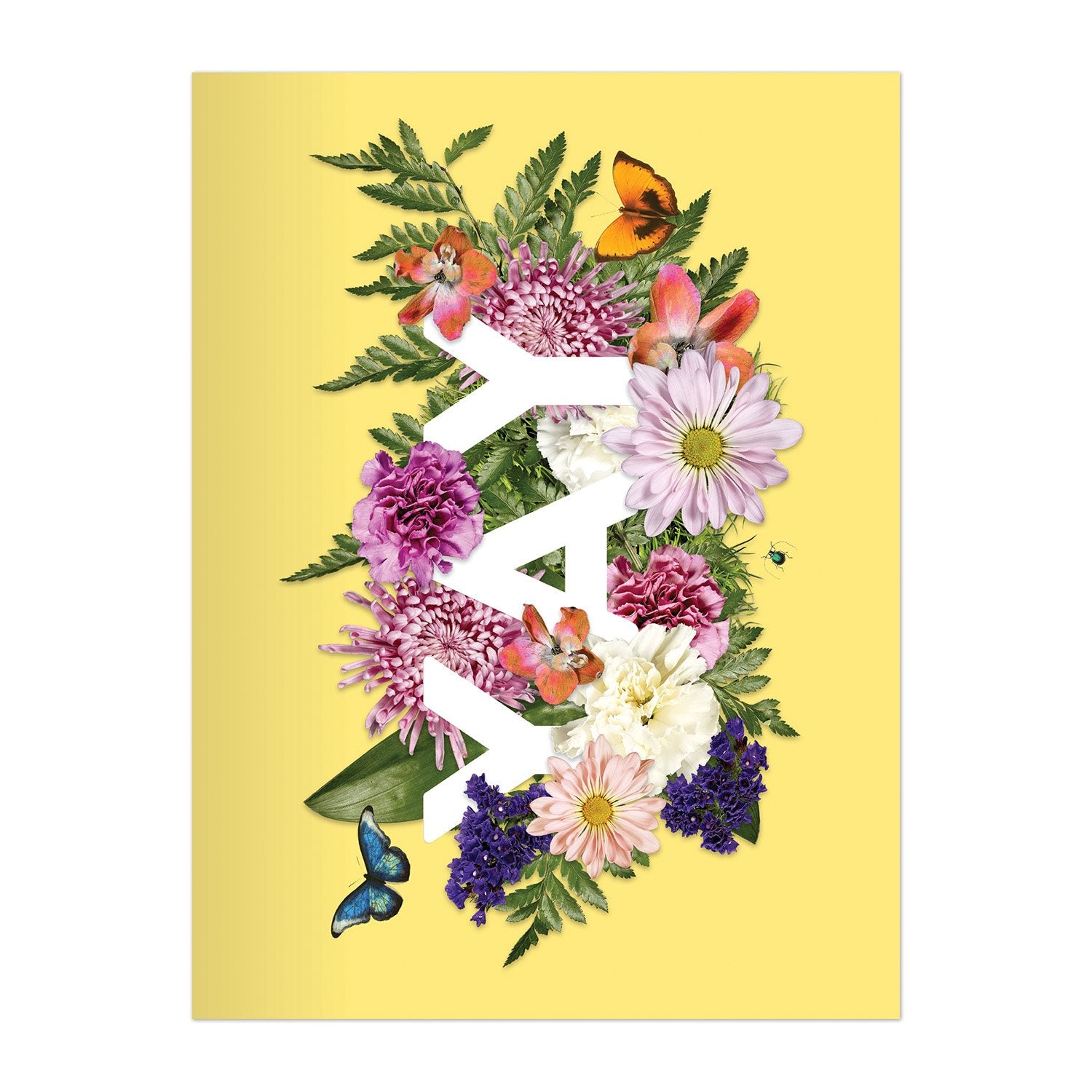 galison-say-it-with-flowers-kartenbox-16er-blumen image 5