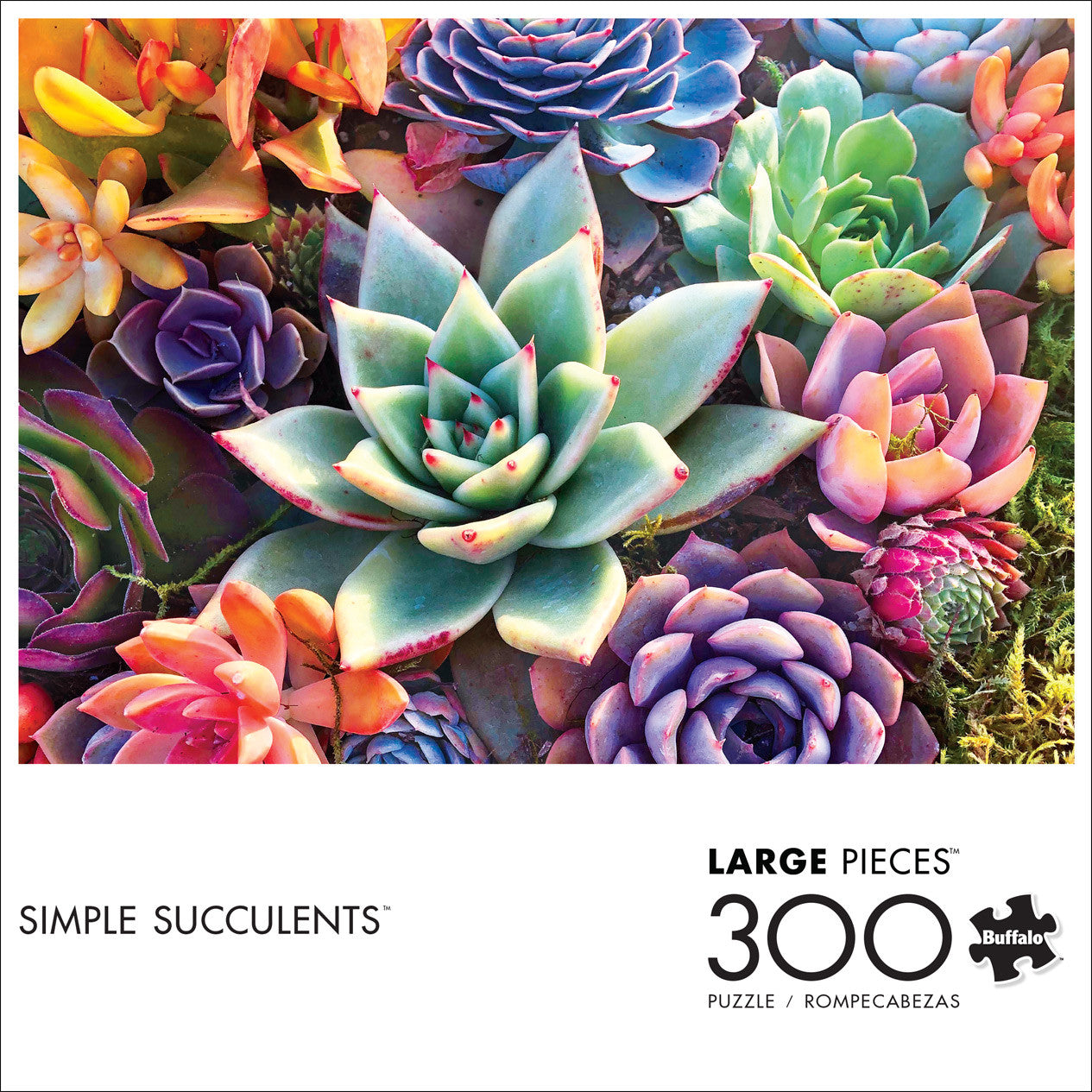 buffalo-games-simple-succulents-300-teile-puzzle-gro-teile-sukkulenten image 4