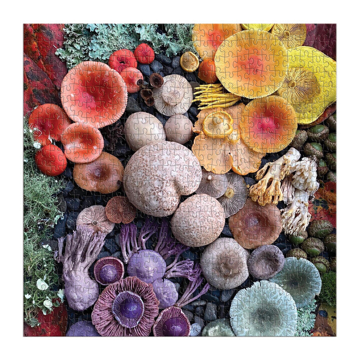 galison-jigsaw-puzzles-shrooms-in-bloom-500-teile-puzzle-pilze image 3
