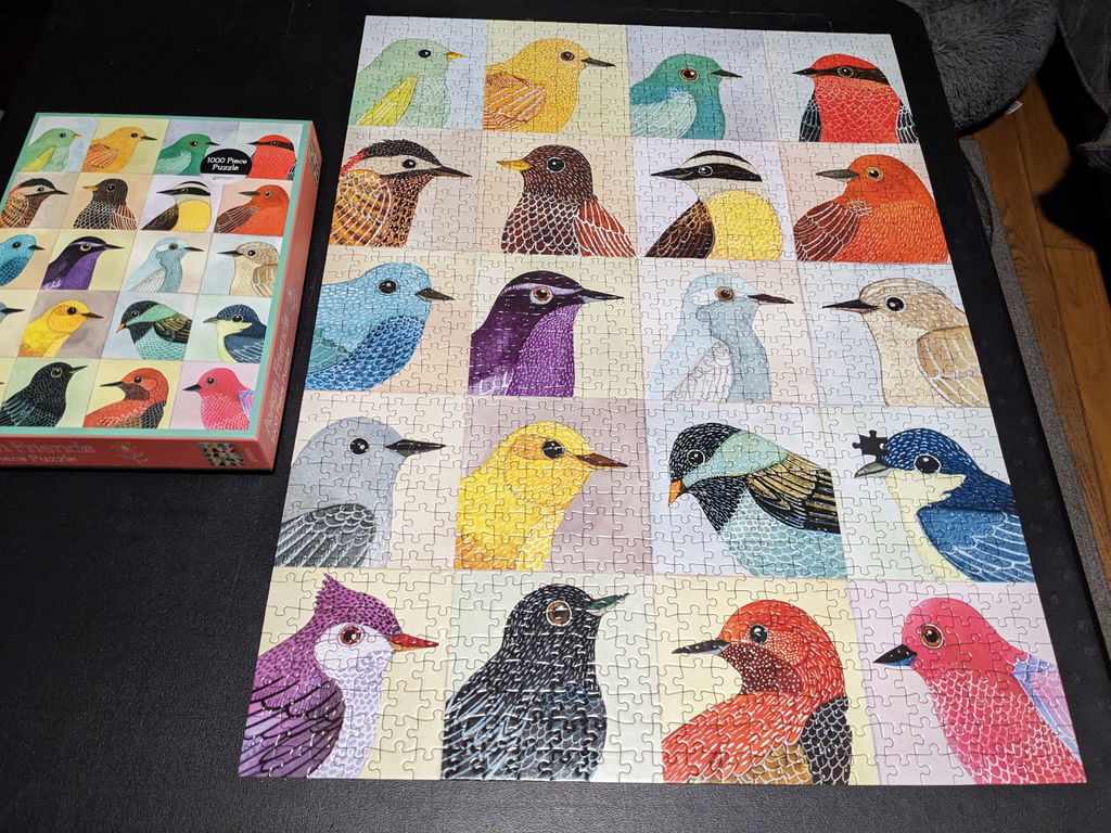 Viele Vögel